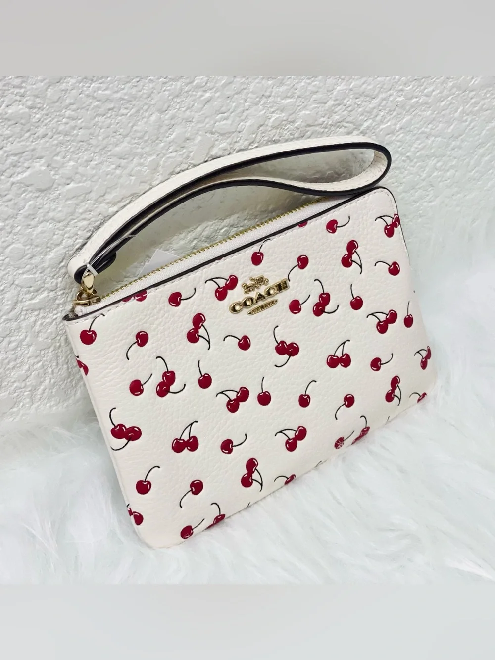 Coach corner zip